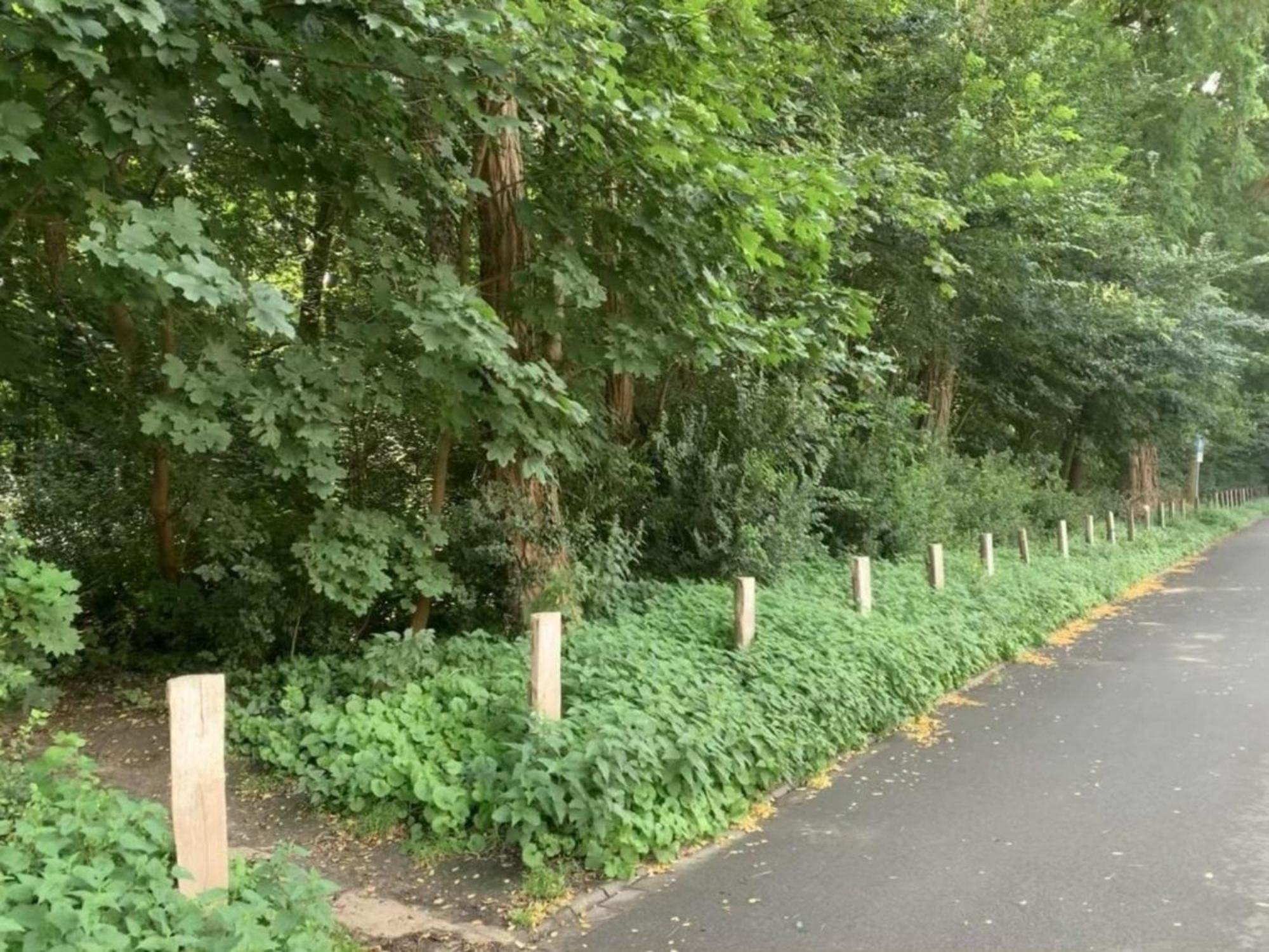 Am Nordglacis Wesel  Bagian luar foto